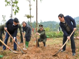Tết trồng cây ở đền Hùng, Bí thư tỉnh ủy Phú Thọ nói sẽ trồng 9.000 ha rừng, 2 triệu cây xanh năm 2023