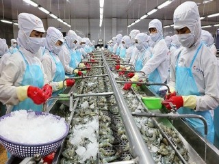 Đề nghị bãi bỏ hạn ngạch đối với tôm Việt Nam nhập khẩu vào Hàn Quốc