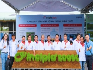 Syngenta Việt Nam giới thiệu sản phẩm mới, phòng trừ sâu cuốn lá kháng thuốc