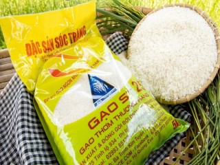 Loại gạo giúp Việt Nam đạt giải "Gạo ngon nhất thế giới 2023"