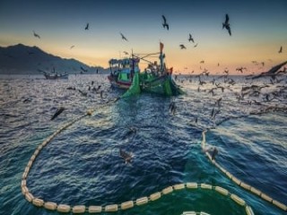 Kinh nghiệm cộng đồng quản lý, bảo vệ thủy sản của Bình Thuận