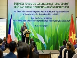 Doanh nghiệp Việt Nam - CH Séc tìm kiếm cơ hội đầu tư trong nông nghiệp