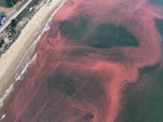 Vệt nước biển kéo dài khoảng 3km ở Hà Tĩnh có màu đỏ