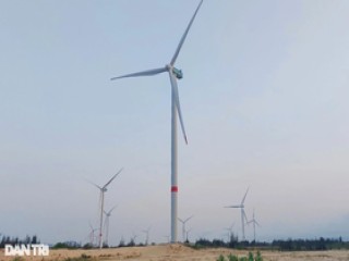 Tỷ phú Singapore muốn đầu tư dự án điện gió 5.500 tỷ đồng ở Bình Định