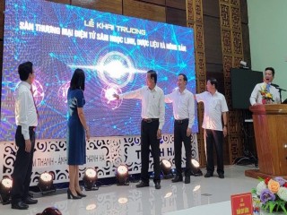 Quảng Nam: Đưa sâm Ngọc Linh lên sàn giao dịch điện tử
