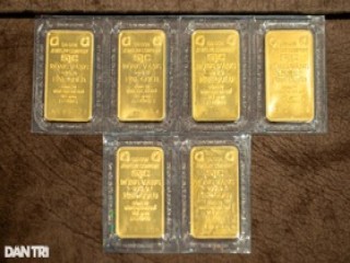 Thua lỗ 4,4 triệu đồng sau một ngày mua vàng