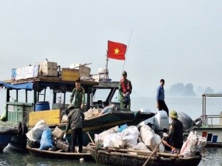 Quảng Ninh: Thu gom, xử lý hơn 1.500 m3 rác thải tại vịnh Hạ Long
