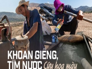 Xót xa cảnh bà con nông dân Ninh Thuận nỗ lực khoan giếng, tìm nước cứu hoa màu khi hồ thủy lợi khô đáy
