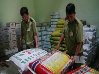 Lộ diện hàng loạt doanh nghiệp sản xuất phân bón giả tại Bình Phước