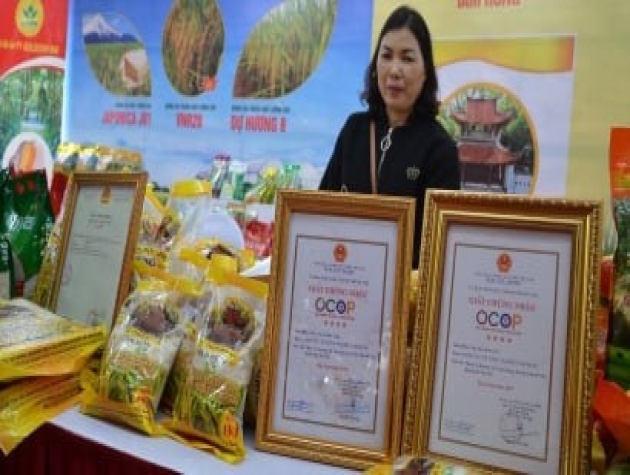 Gạo thơm Bối Khê - sản phẩm OCOP tiêu biểu của Thanh Oai