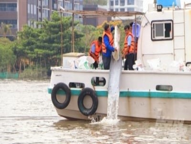 Thả gần 1 triệu con giống thủy sản trên sông Sài Gòn