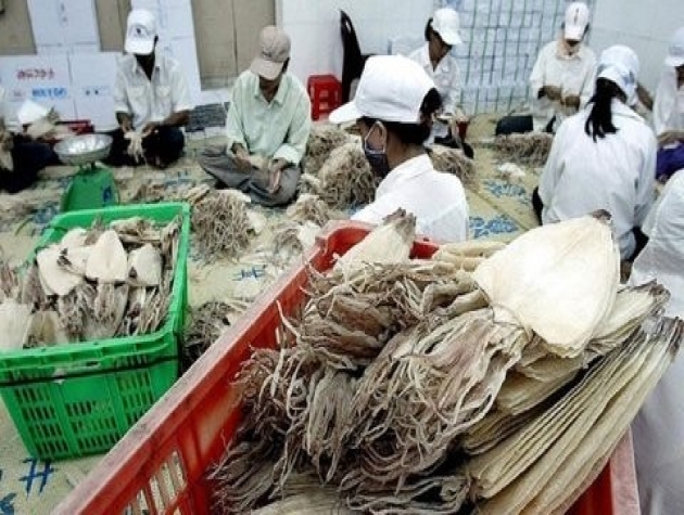 Xuất khẩu mực, bạch tuộc dự kiến giảm 2% trong quý I/2024
