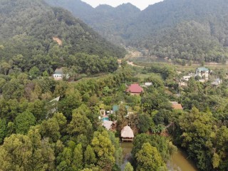 Chủ tịch Hà Nội chỉ đạo phòng chống cháy rừng mùa nắng nóng